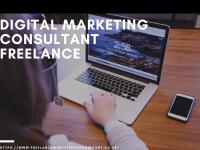 Digital Marketing Consultant image 1